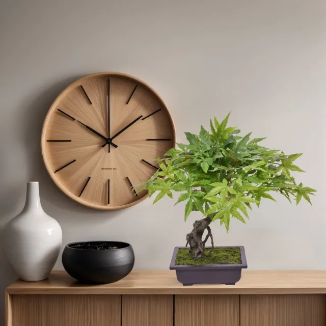 maxifleur Kunstplanten Acer Kunst Bonsai 50cm groen