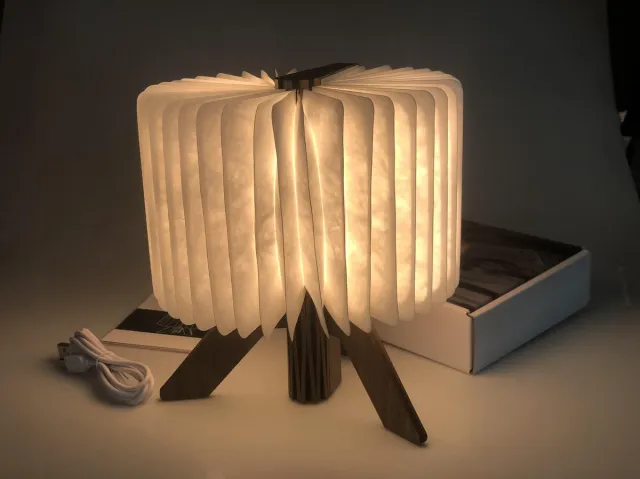 Sinji Houten Boek lamp - Staand model - Sfeerverlichting - Bureaulamp - Leeslamp - 3 LED Lichtstanden - Houten Cover - Medium Bruin