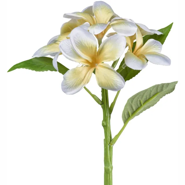 Gasper Frangipani Plumeria Geel en Wit 32 cm - Kunstbloemen