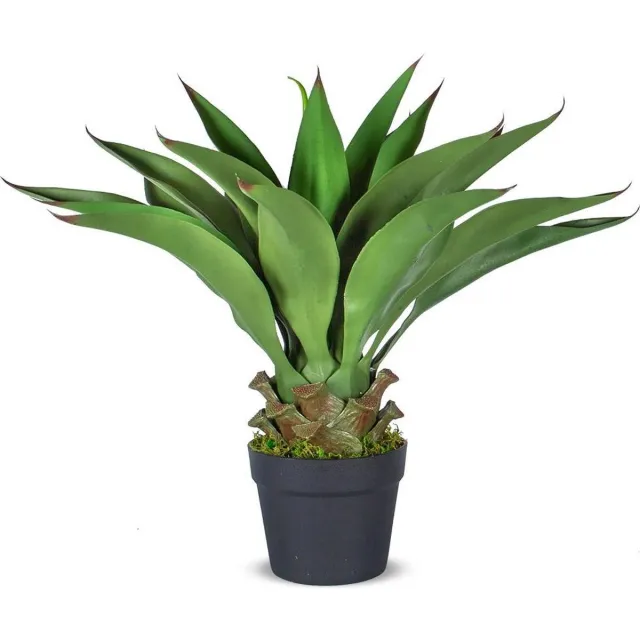 HTT Decorations Kunstplant Agave vetplant H60cm - HTT Decorations kunstplanten Groen