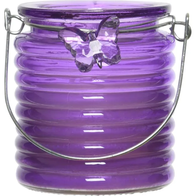 Decoris Citronella windlicht met kaars - paars - 20 branduren - citrusgeur