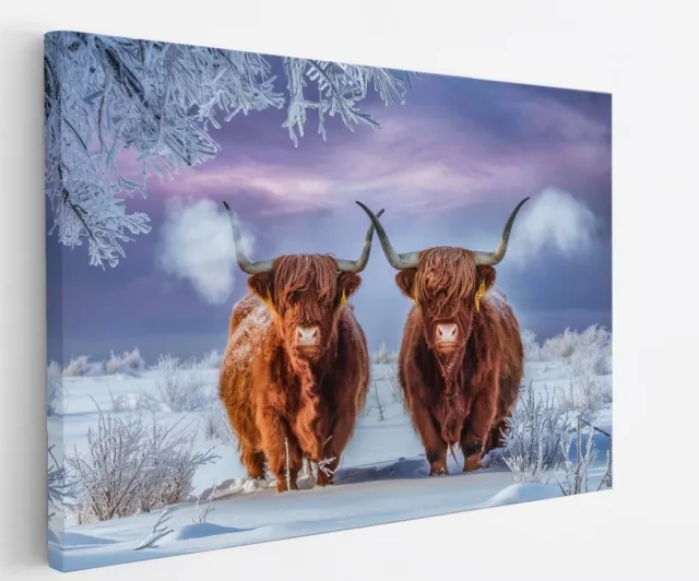 Saammp Canvas Schilderij Schotse Hooglander Koe in de mist - Dieren - Natuur - 45x30 - Foto op canvas - Wanddecoratie - muurdecoratie Woonkamer - Slaapkamer decoratie - Canvas Print Multicolor