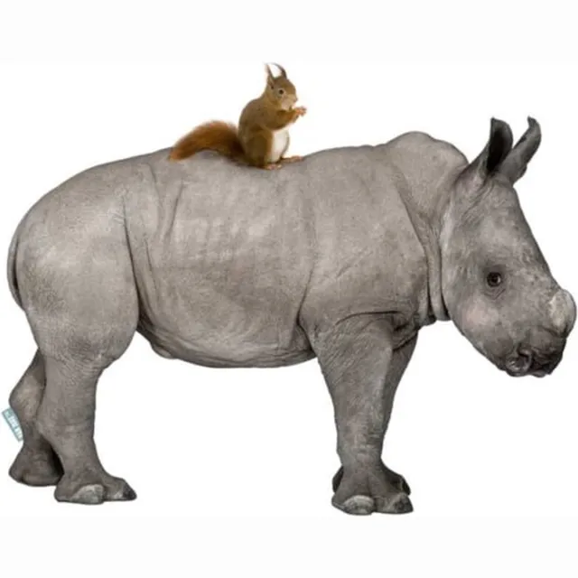 VAN IKKE Muursticker Neushoorn met eekhoorn multi