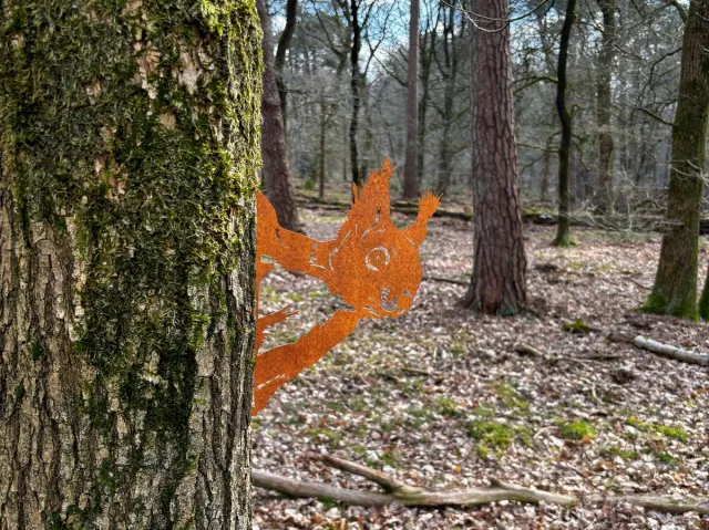 Steelhouet Glurende Eekhoorn Boomprikker- Metaal silhouet - Cortenstaal - Tuindecoratie - In boom/ hout - Steelhout - Eekhoorn Hoofd