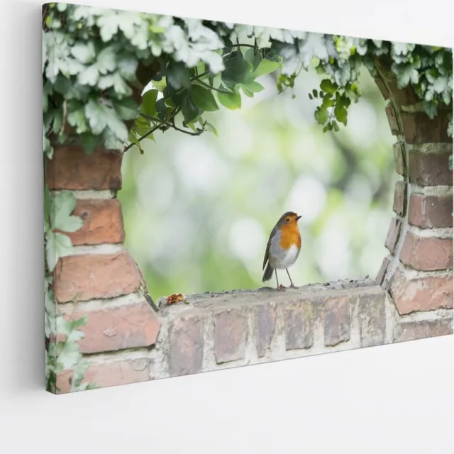 Saammp Canvas Schilderij - Kolibrie - Natuur - Doorkijk - 60x40 - Foto op canvas - Wanddecoratie - Muurdecoratie Woonkamer - Slaapkamer decoratie - Canvas Print Multicolor