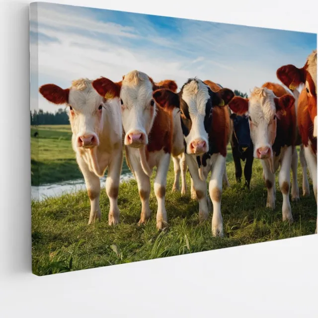 Saammp Canvas Schilderij - Koeien portret - Natuur - Dieren - 90x60 - Foto op canvas - Wanddecoratie - Muurdecoratie Woonkamer - Slaapkamer decoratie - Canvas Print Multicolor