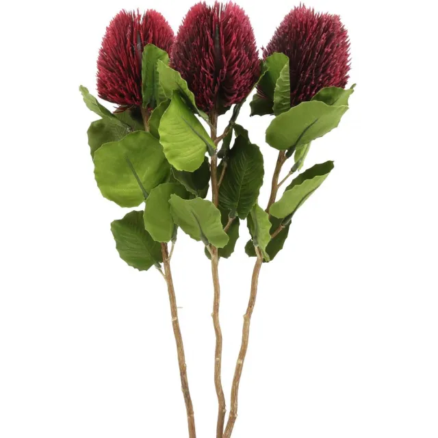 Viana Kunstbloemen, Banksia, Proteaceae wijnrood L58cm H6cm 3st