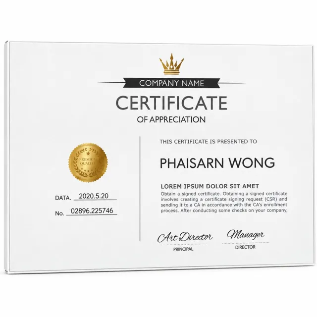 SWGOTA A3 randloze zwevende fotolijst 297 x 420 mm - Liggende wandlijst voor foto's en certificaten Wit