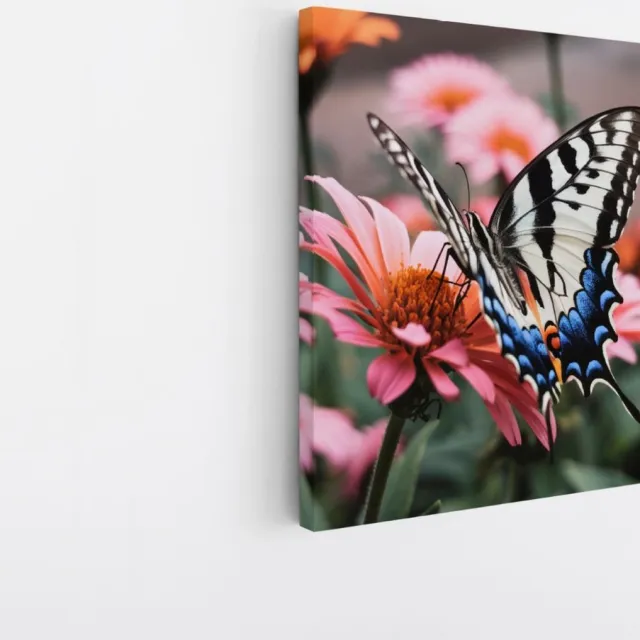 Saammp Canvas Schilderij -Vlinder op roze bloem - Dieren - 40x40 - Foto op canvas - Wanddecoratie - muurdecoratie Woonkamer - Slaapkamer decoratie - Canvas Print Multicolor