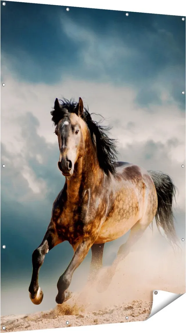 Gards Tuinposter Wilde Paard in het Zand - 120x180 cm - Tuindoek - Tuindecoratie - Wanddecoratie buiten - Tuinschilderij Multikleur