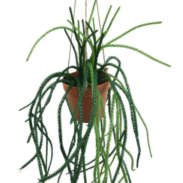 Viana Rhipsalis kunstmatige koraalcactus hangmand H87cm groente