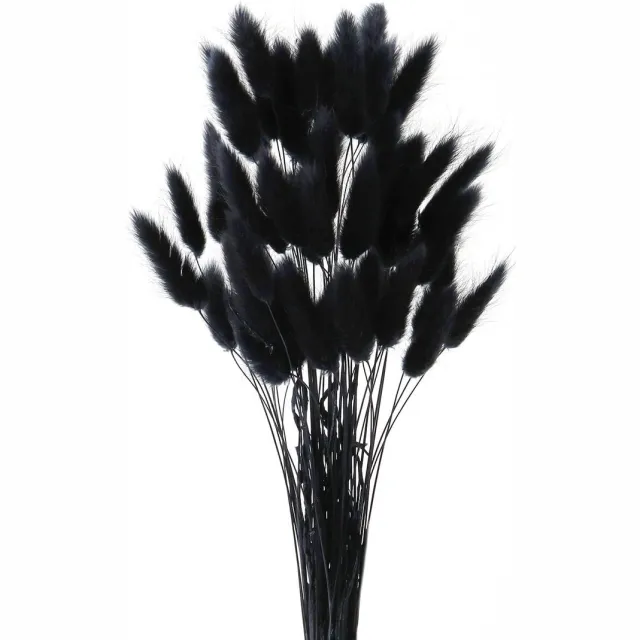 Ibenzoa Prachtig Pluizig Pampasgras voor Sfeervolle Natuurlijke Interieurdecoratie, 60 Stuks, Lengte 45 cm, Zwart