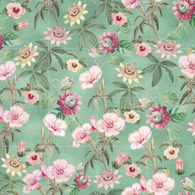 IXXI Tropical Vintage Passiflora and Hibiscus, Bloomery Decor - 80 x 80 cm - Grote wanddecoratie en posters - Decoratieve kunsten, Vintage, Art Groen / Roze