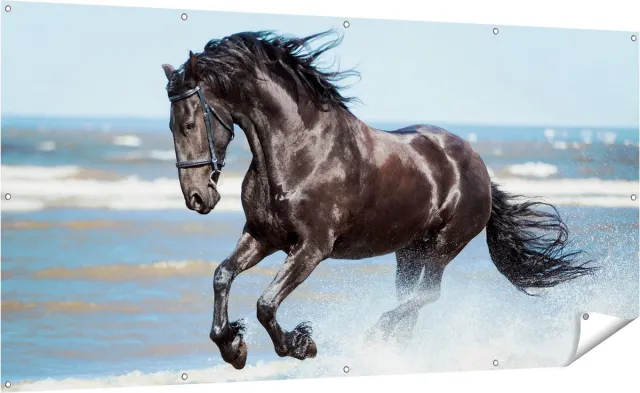 Gards Tuinposter Zwart Paard in het Water - 200x100 cm - Tuindoek - Tuindecoratie - Wanddecoratie buiten - Tuinschilderij Multikleur