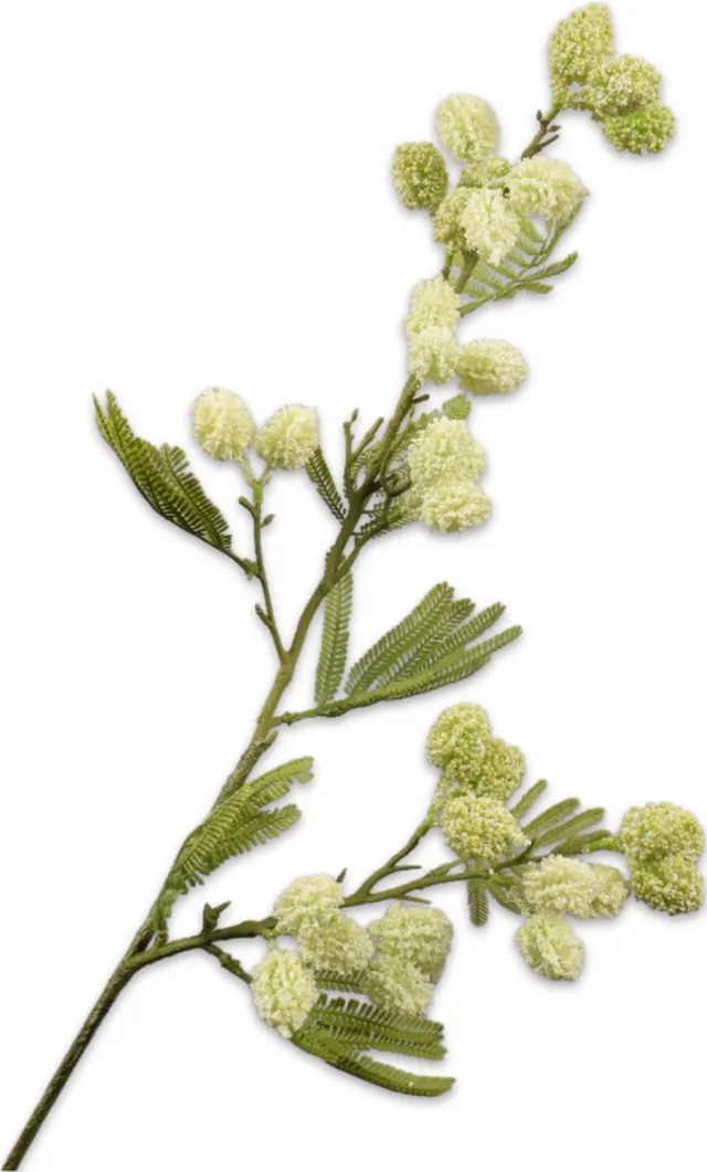 Silk-ka Kunstbloem - creme - H8 cm Crème