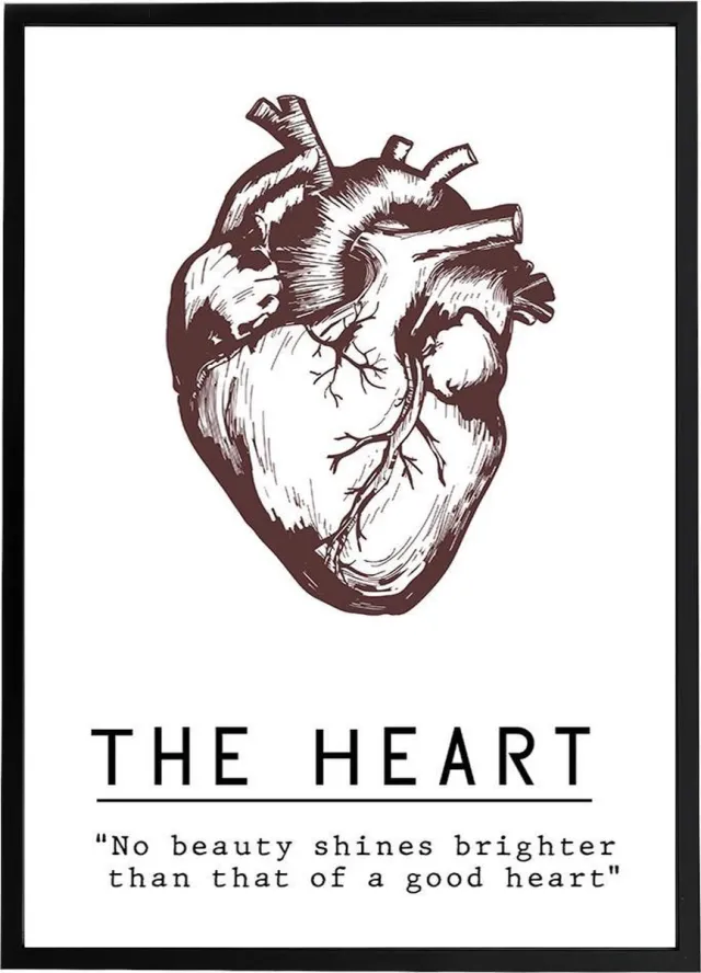 Esque Poster 'The Heart'' - Anatomie Hart - Bordeaux Rood - Valentijn - Liefde - Large 70x50 Zwart, wit, rood
