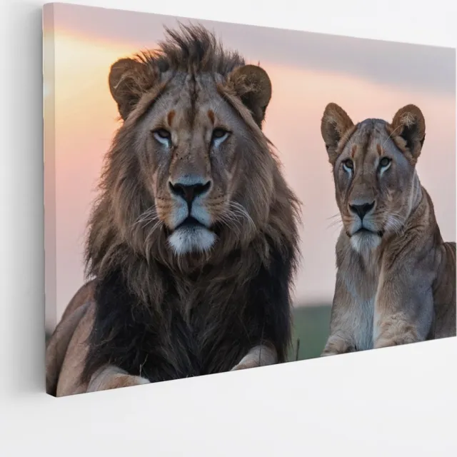 Saammp Canvas Schilderij - Leeuw en Leeuwin - Dieren - Natuur - 45x30 - Foto op canvas - Wanddecoratie - Muurdecoratie Woonkamer - Slaapkamer decoratie - Canvas Print Multicolor