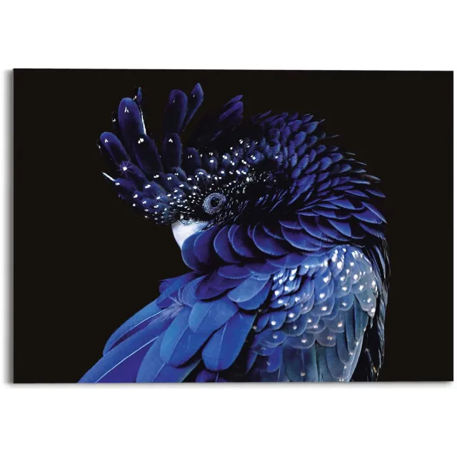 Reinders Plexiglasschilderij Blauwe papegaai - 50 x 70 - Acrylglas - REINDERS