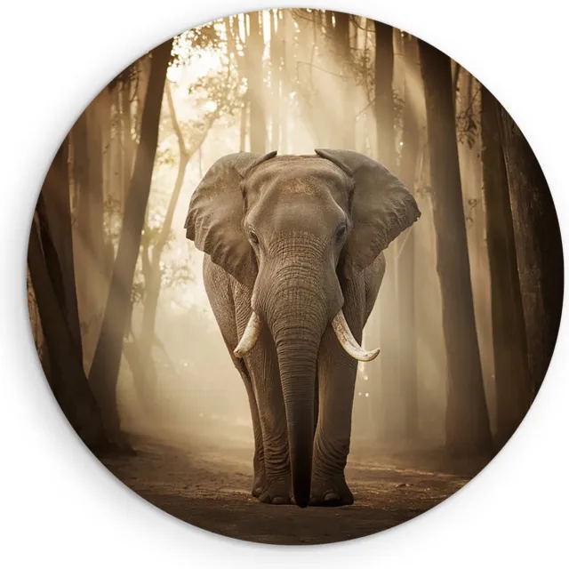 Saammp Muurcirkel Hout - olifant in het Bos - Afrika - Dieren - Ø 40 - Wandcirkel - Wanddecoratie Cirkel - muurdecoratie Woonkamer - Slaapkamer decoratie - Rond Schilderij