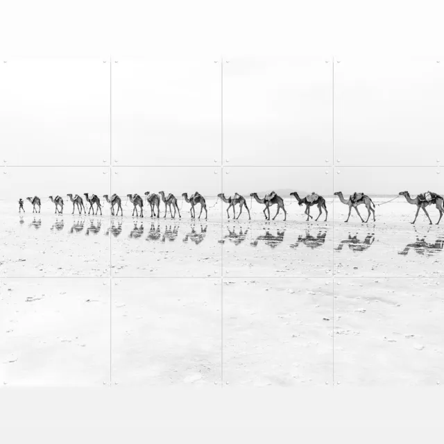 IXXI Salt Transport with Camels, Photolovers - 80 x 60 cm - Grote wanddecoratie en posters - Minimalisme, Fotografie, Woonkamer, Slaapkamer, Natuur Zwart en wit / Monochroom / Wit / Lichte tinten