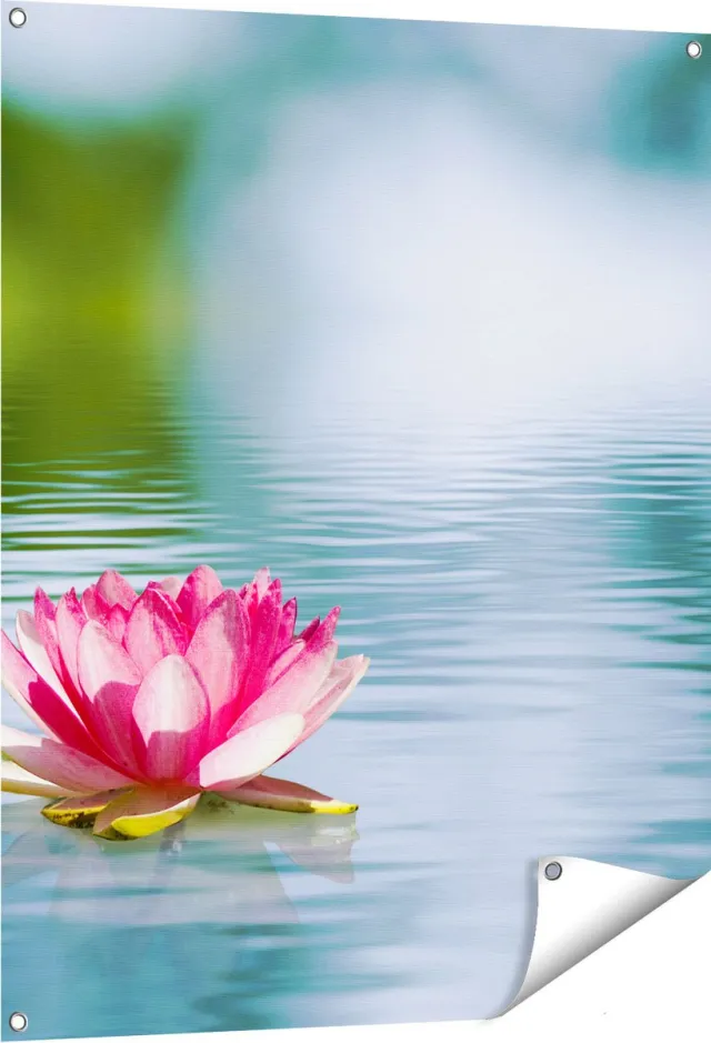 Gards Tuinposter Roze Lotusbloem op het Water - 80x100 cm - Tuindoek - Tuindecoratie - Wanddecoratie buiten - Tuinschilderij Multikleur