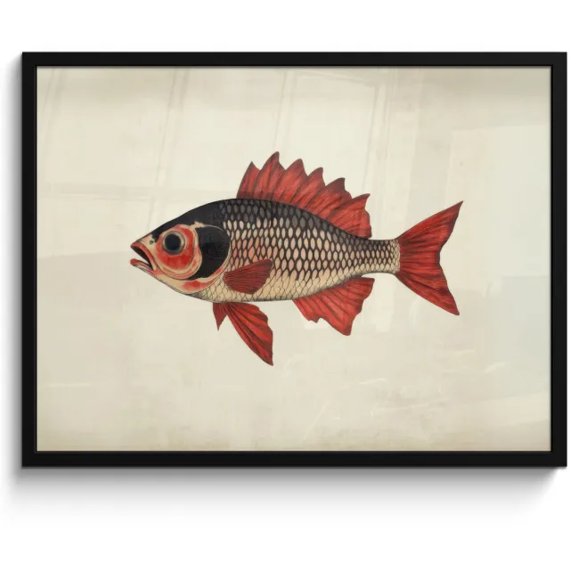 FrameYourWall Poster in lijst - Fotolijst 80x60 cm - Posters - Schubben - Rood - Vis - Vinnen - Posterlijst zwart - Decoratie - Wanddecoratie woonkamer - Muurdecoratie slaapkamer Vis - Vinnen - Schubben