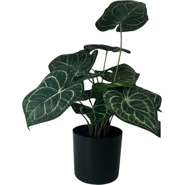 HEM Kunstplant Anthurium Crystallinum - 43 cm - 15 stengels uitlopend naar hartvormige bladeren - Net echte Kunstplant - Groene Kunstplant - Nep planten voor binnen - Kamer Decoratie - Nepplanten Kunst plant