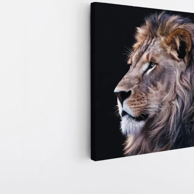 Saammp Canvas Schilderij - leeuwen portret - Afrika - Dieren - Natuur - 40x40 - Foto op canvas - Wanddecoratie - Muurdecoratie Woonkamer - Slaapkamer decoratie - Canvas Print Multicolor