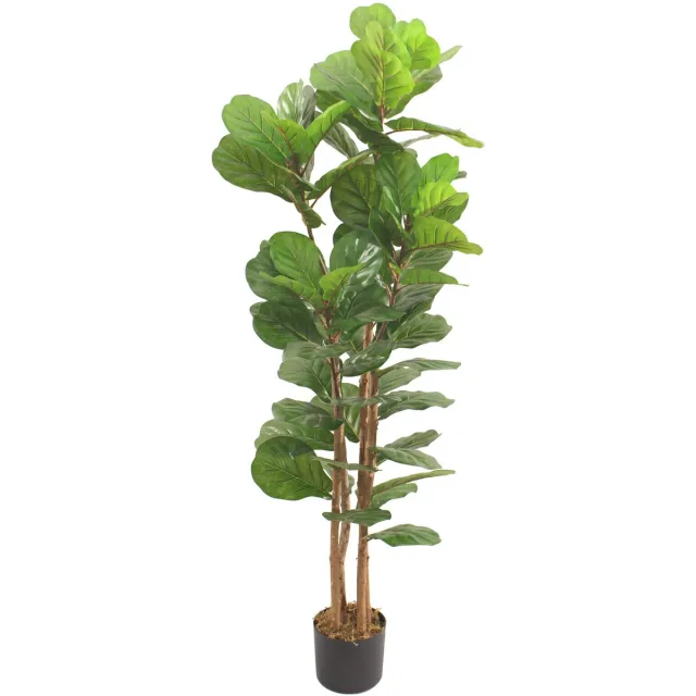 homebound by ky Kunstplant Fiddle ficus lyrata 180cm Meerkleurig