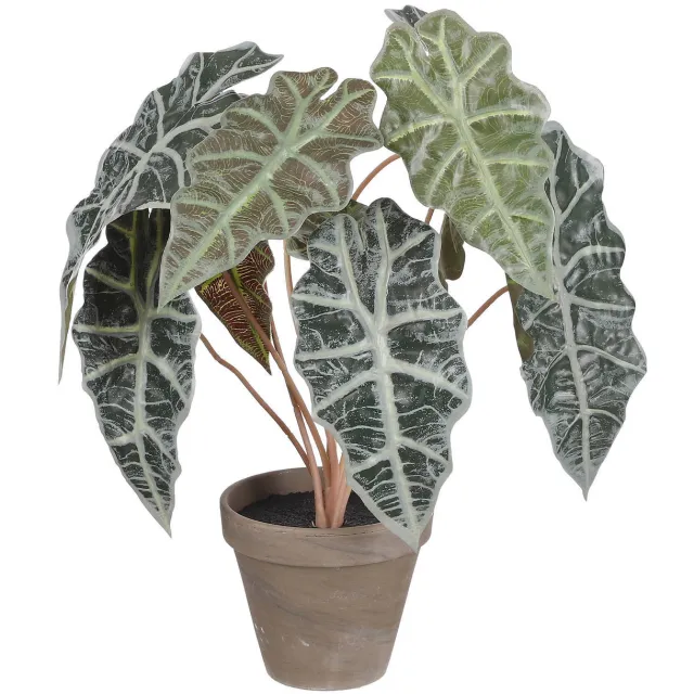 Mica Decorations kunstplant Alocasia Groen