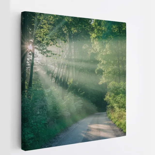 Saammp Canvas Schilderij - bos - Pad met zonsondergang - Landschap - Natuur - 60x60 - Foto op canvas - Wanddecoratie - Muurdecoratie Woonkamer - Slaapkamer decoratie - Canvas Print Multicolor