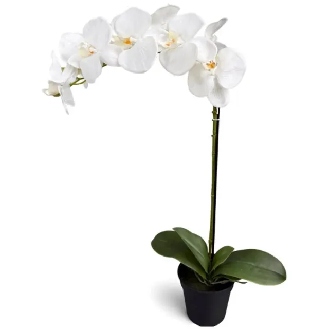Oosterik Home Orchidee wit in pot H 64 cm kunstplant Oosterik Home onbekend
