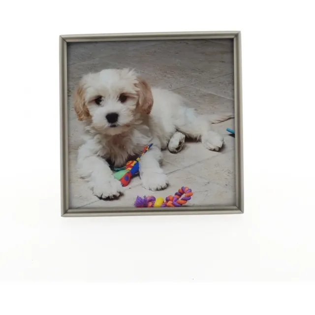 Alle lijsten AL - Mat Zilver - Fotolijst - Bol - 13 x 13 cm