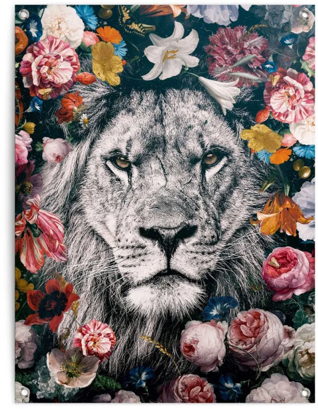 Reinders Tuinposter Leeuw - 80 x 60 - Canvas - REINDERS