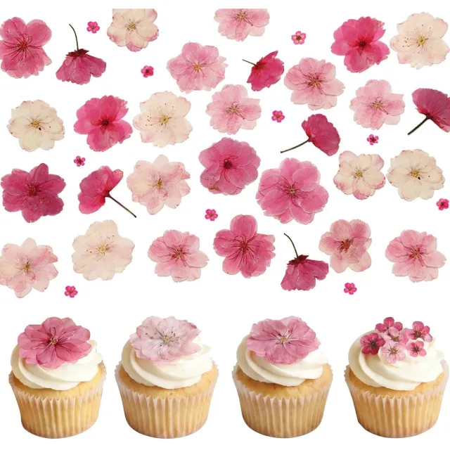 Famanu Roze gedroogde bloemen voor taartdecoratie en harskunst, set van 50 stuks