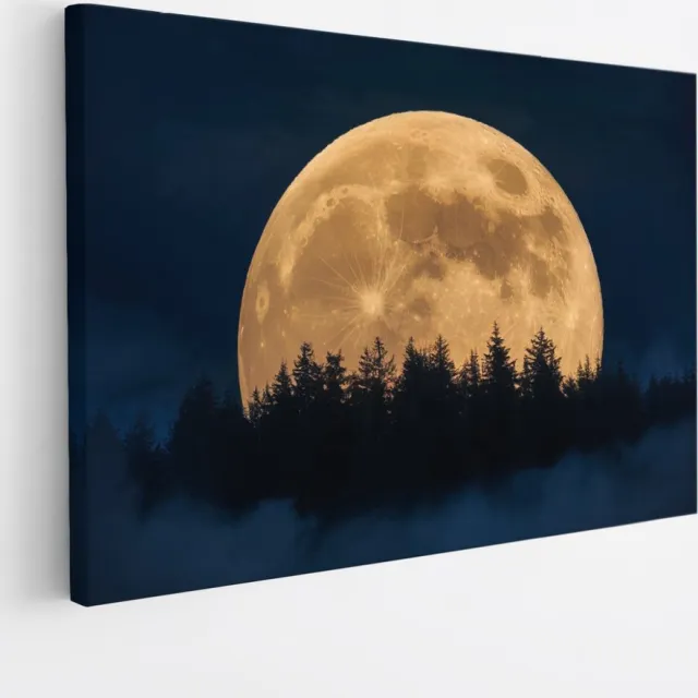 Saammp Canvas Schilderij - Maan met bos - Natuur - Landschap - 60x40 - Foto op canvas - Wanddecoratie - Muurdecoratie Woonkamer - Slaapkamer decoratie - Canvas Print Multicolor