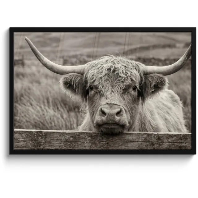 FrameYourWall Poster in lijst - Fotolijst 90x60 cm - Posters - Schotse hooglander - Zwart - Wit - Hout - Posterlijst zwart - Decoratie - Wanddecoratie woonkamer - Muurdecoratie slaapkamer
