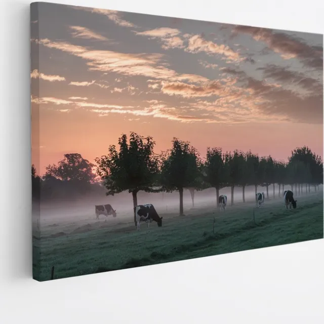 Saammp Canvas Schilderij - Koeien met mooie lucht - Natuur - nederland - 45x30 - Foto op canvas - Wanddecoratie - Muurdecoratie Woonkamer - Slaapkamer decoratie - Canvas Print Multicolor