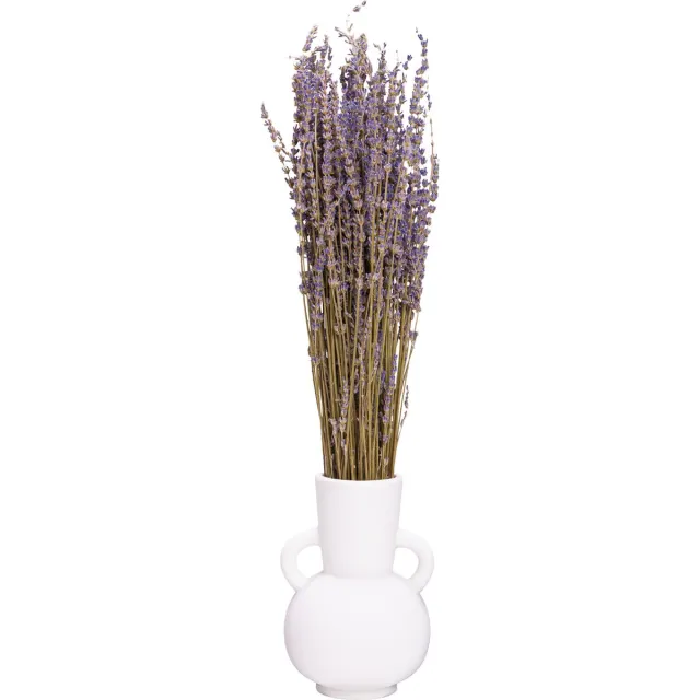 QUVIO Vaas – Vazen – Bloemenvaas – Vaas keramiek – Vaasje – Witte vaas – Vaas wit – Droogbloemen vaas – Decoratieve vaas – Vaasje – Keramische vaas – Keramiek vaas – Vaas voor bloemen – Keramiek - Wit
