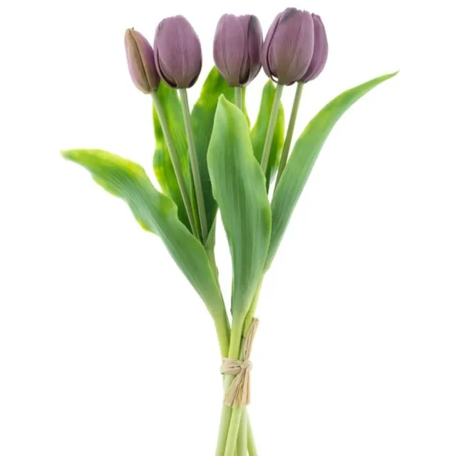 Real Touch Holland Tulip bundle Sally X5 aubergine 36cm-Real Touch Tulips-Real Touch Tulpen-aubergine Beauty Combo-Tulpen- Kunstbloemen-Kunst Tulpen-Kunst Boeket-Tulp-36 CM-Zijden Bloemen-Latex Bloem-Bruiloft-Voorjaar-Lente