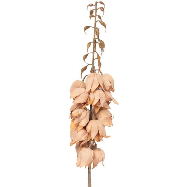 Clayre & Eef Kunstbloem 100 cm Bruin Kunststof