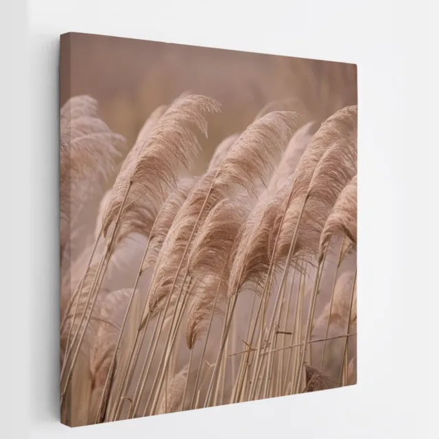 Saammp Canvas Schilderij - Pampas pluimen in de natuur - Bloemen - 40x40 - Foto op canvas - Wanddecoratie - Muurdecoratie Woonkamer - Kantoor Decoratie Multicolor