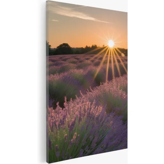 Saammp Canvas Schilderij - Lavendelveld tijdens zonsopgang - Natuur - Landschap - 50x70 - Foto op canvas - Wanddecoratie - Muurdecoratie Woonkamer - Slaapkamer decoratie - Canvas Print Multicolor