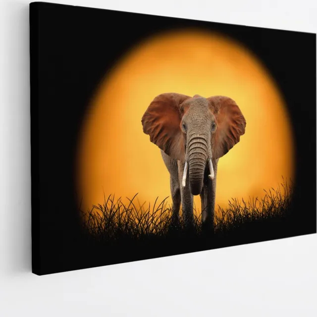 Saammp Canvas Schilderij - Olifant voor de zon - Natuur - Dieren - 70x50 - Foto op canvas - Wanddecoratie - Muurdecoratie Woonkamer - Slaapkamer decoratie - Canvas Print Multicolor