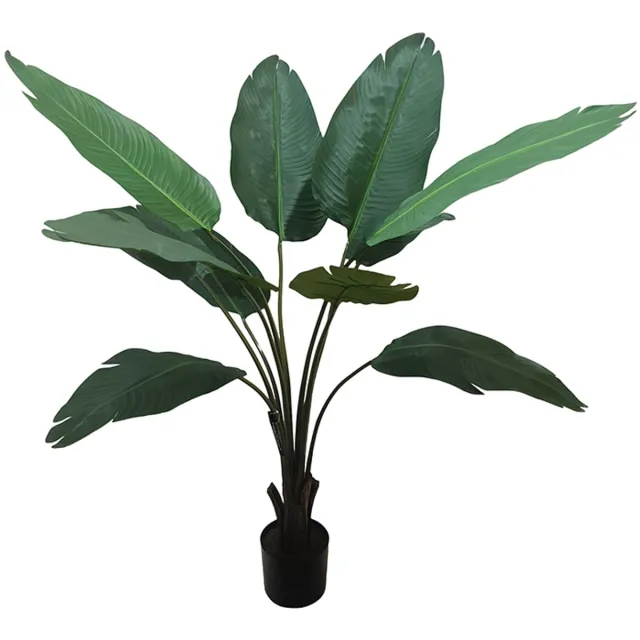 Pole to Pole Travellers Palm Tree 150cm Green
