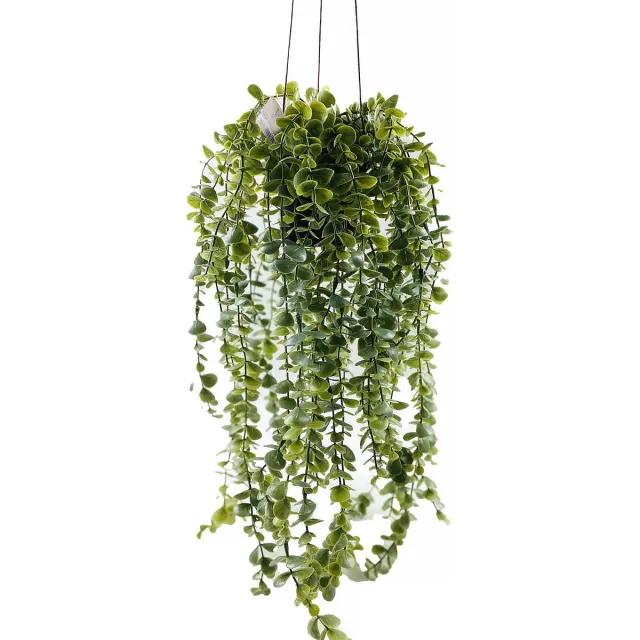 Home & Styling Collection Kunstmatige hangende plant SENECIO, 60 cm groente