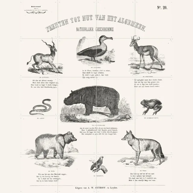 IXXI Animals Chart, Aster Edition - 80 x 100 cm - Grote wanddecoratie en posters - Illustraties, Vintage, Naturalisme, Houtsnede, Klassiek, Woonkamer Zwart en wit / Zwart / Lichte tinten
