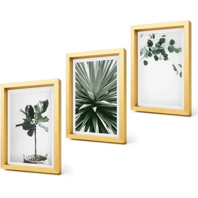 Coloray 4-Delige Schilderij Set - Groene planten in een minimalistische stijl - 20 x 30 cm - Decoratieve Schilderijen - Woonkamer - Interieur - Stijlvolle Muurdecoratie Gouden lijst