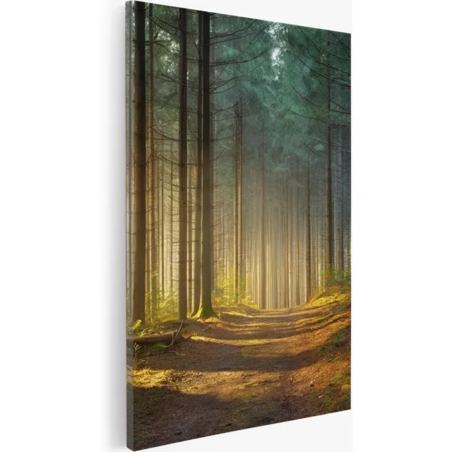 Saammp Canvas Schilderij - Bospad tussen de bomen - Landschap - Natuur - 50x70 - Foto op canvas - Wanddecoratie - Muurdecoratie Woonkamer - Slaapkamer decoratie - Canvas Print Multicolor