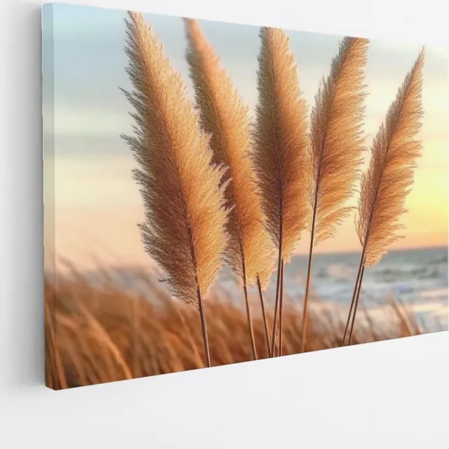 Saammp Canvas Schilderij - Pampas - Landschap - Bloemen - 120x80 - Foto op canvas - Wanddecoratie - Muurdecoratie Woonkamer - Kantoor Decoratie Multicolor